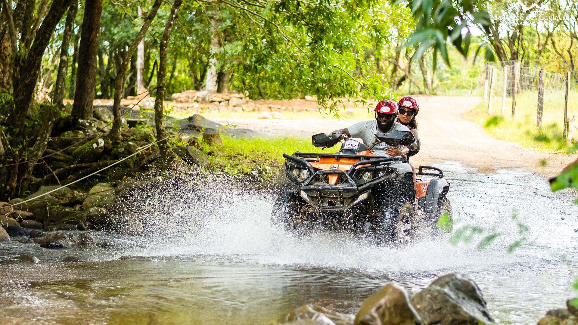 Quad & Buggy